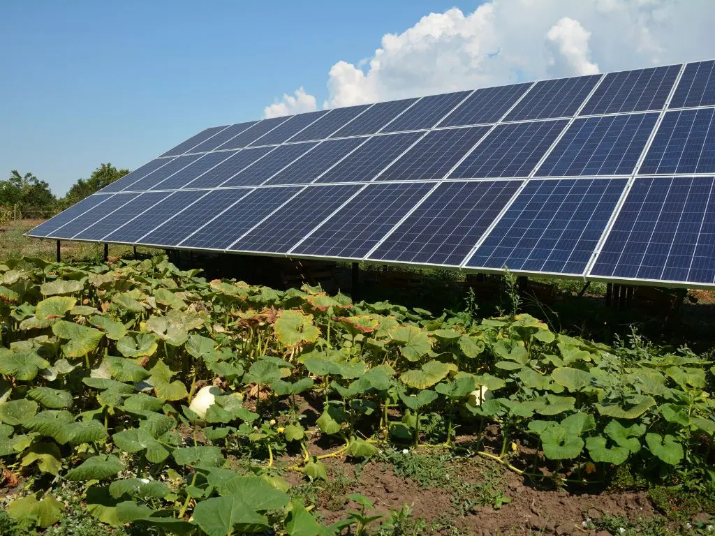 Off-grid solar panels connected to a 10kW system in a paddock.